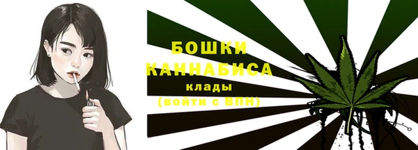 хмурый Вяземский