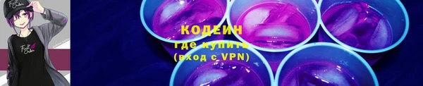 хмурый Вяземский