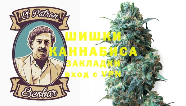 хмурый Вяземский