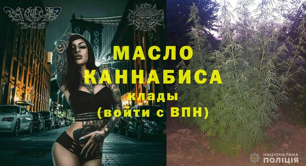 хмурый Вяземский